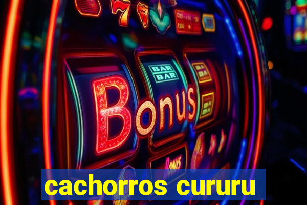 cachorros cururu